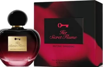 Antonio Banderas Her Secret Flame