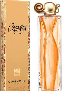 Givenchy Organza