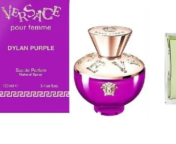 Versace Dylan Purple